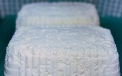 Blog 53 ¿Qué es el queso mató?