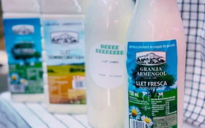 Leche sin lactosa para bebés: todo lo que debes saber antes de elegirla 10 ¿Cuál es la leche más saludable?