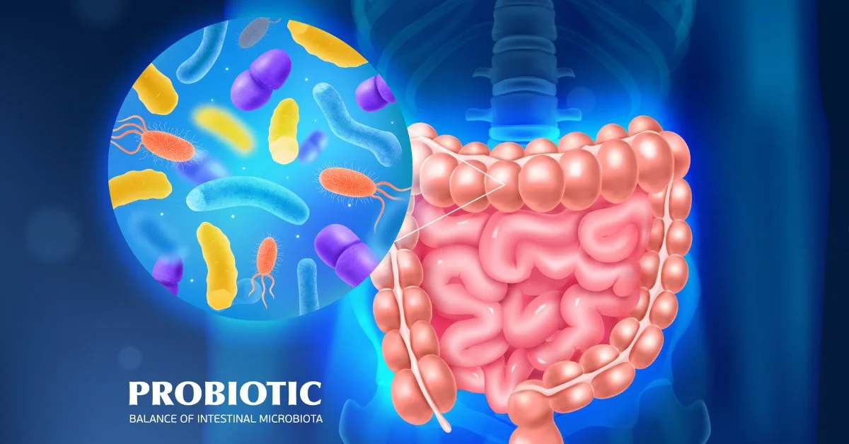 Microbiota Flora intestinal Microbiota Flora intestinal