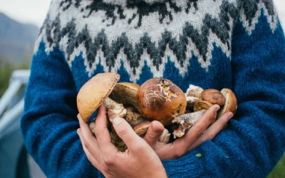 Blog 38 Bolets comestibles: cómo reconocerlos y disfrutarlos