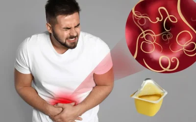 Blog 22 ¿Cuál es el mejor yogurt para la flora intestinal?