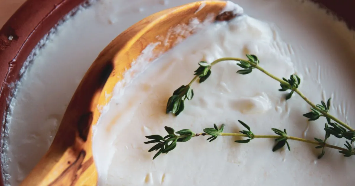 Yogur de oveja o de cabra Yogur de oveja o de cabra