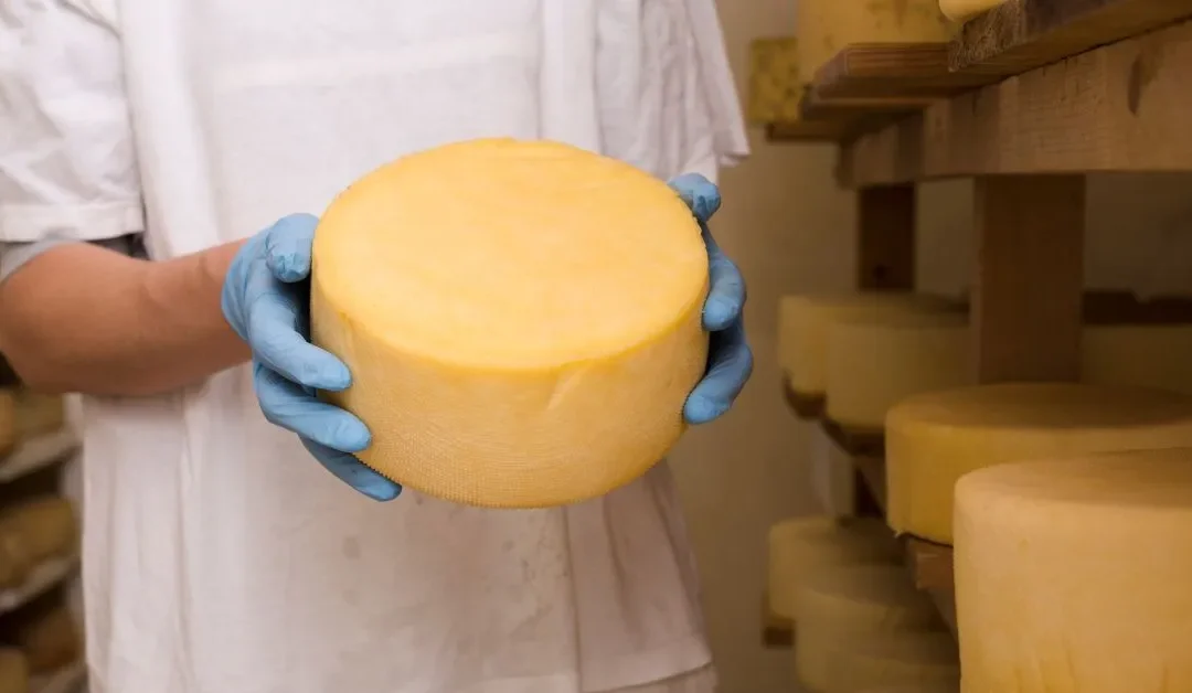 ¿Cuál es la diferencia entre un queso DOP y uno común?