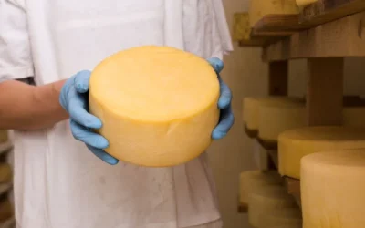 ¿Cuál es la diferencia entre un queso DOP y uno común?