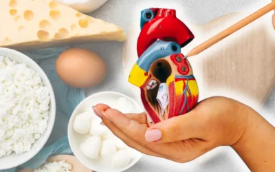 ¿El queso es malo para el colesterol?