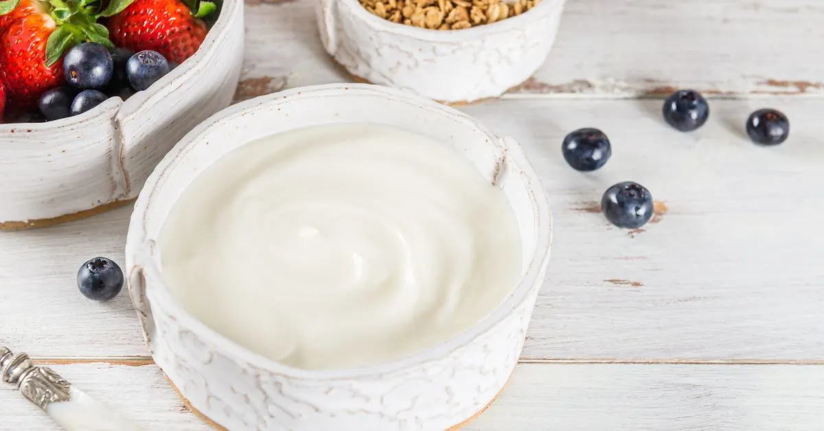 yogurt sin lactosa y sin azúcar yogurt sin lactosa y sin azúcar