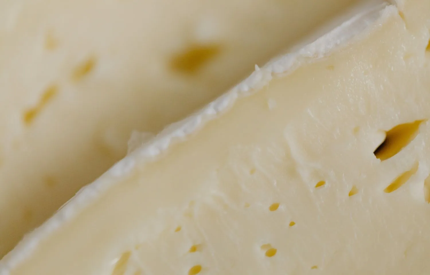 queso brie se come lo blanco