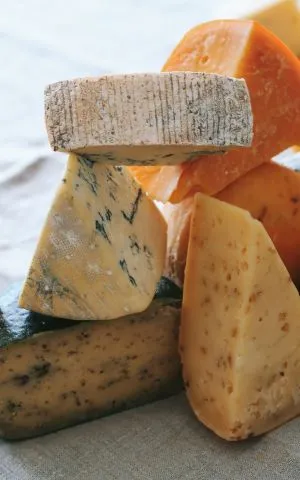 quesos artesanales gourmet El Terraló
